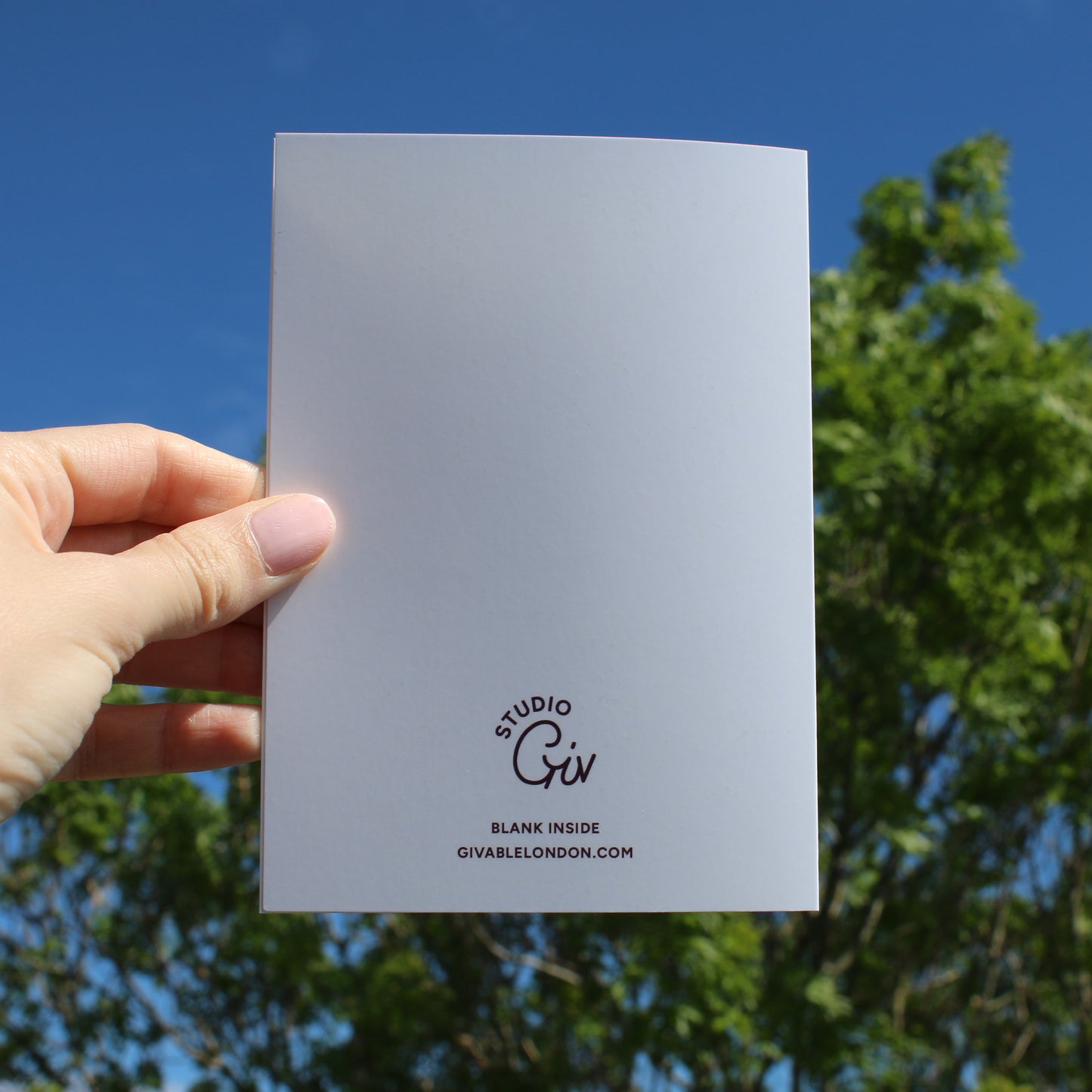Running King Greetings Card