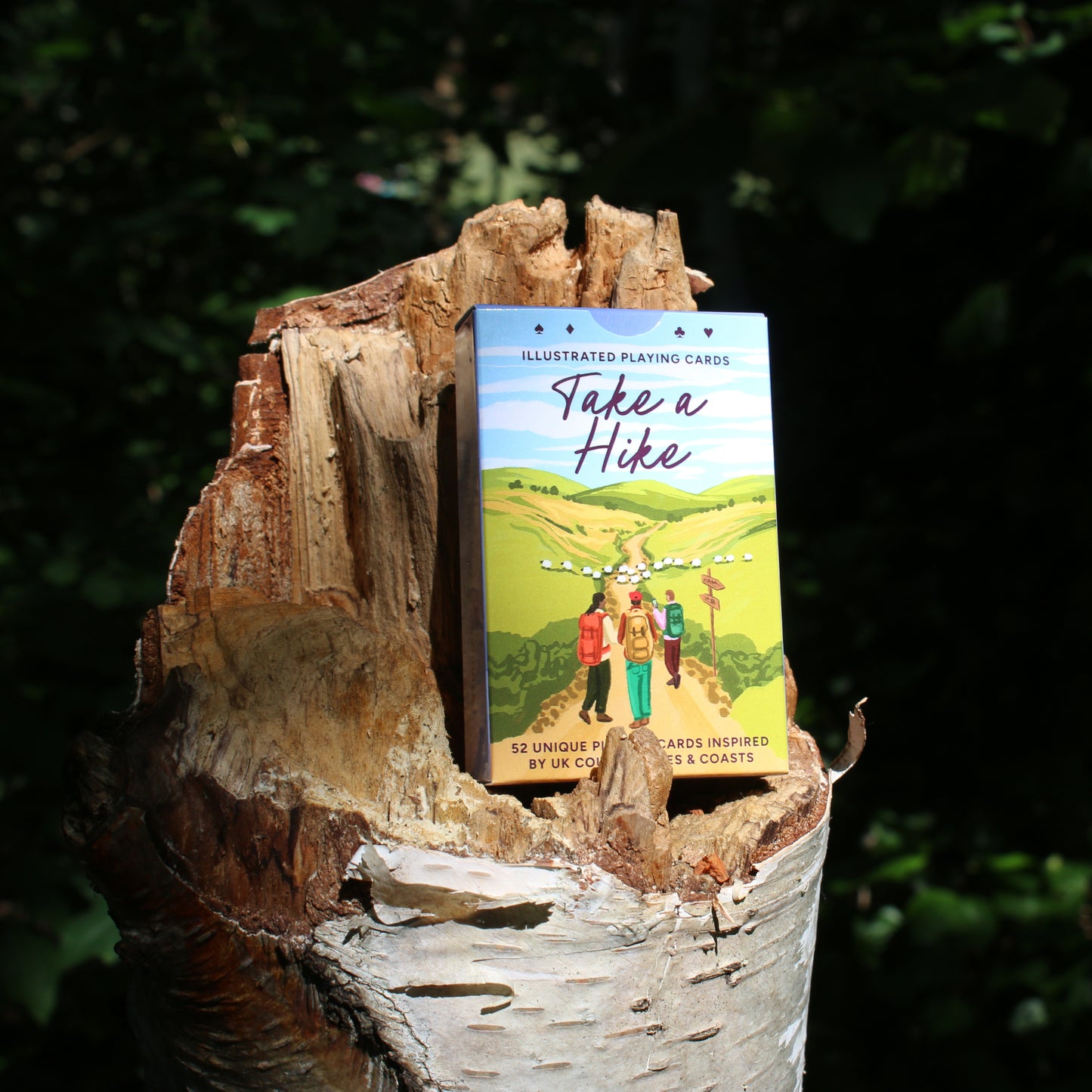Take a Hike Illustrated Playing Cards